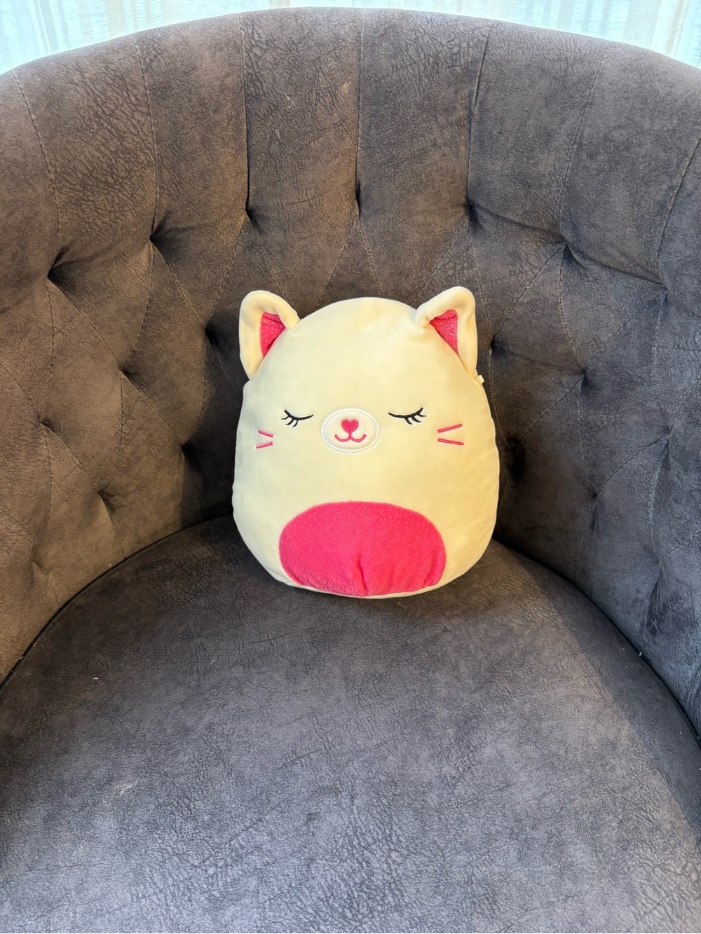 Carmen the Cat Squishmallow “8